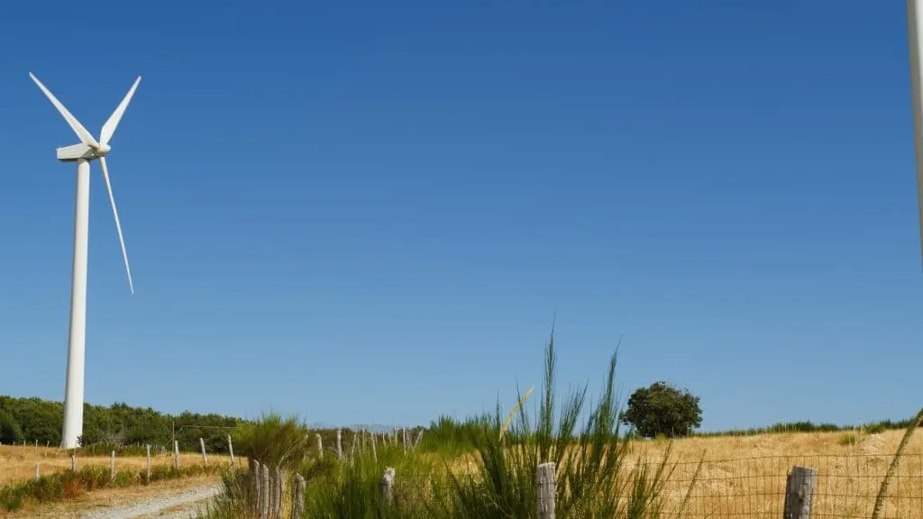 Gruppo Greenbull: azienda eco-responsabile impegnata nella sostenibilità